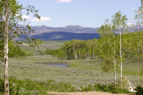 Wolf Creek Ranch, Lot 17, Utah — photograph 3 of 42
